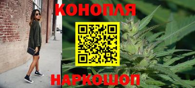 Альфа ПВП Кингисепп