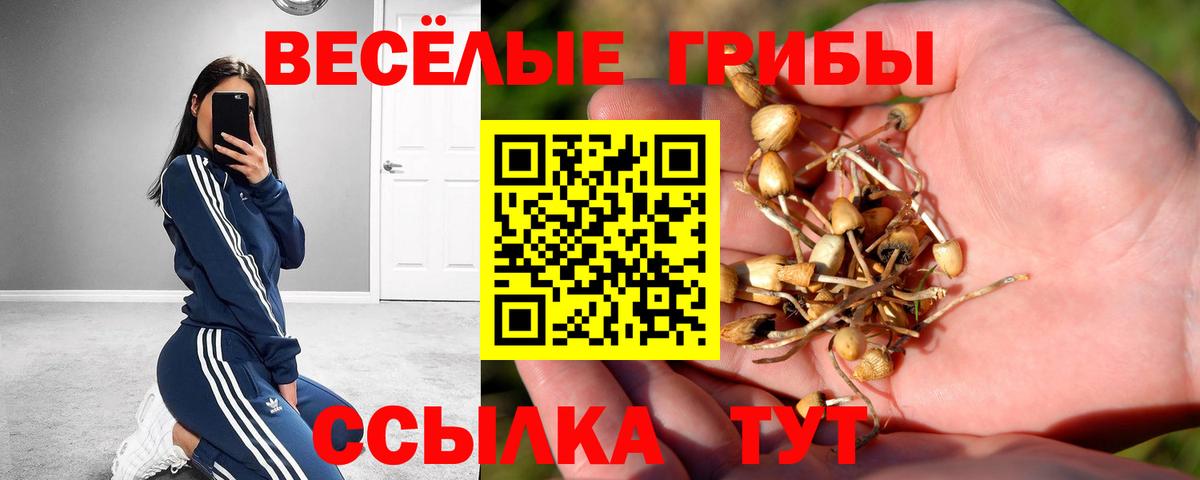 Коммунар  Псилоцибиновые грибы Cubensis  Вход с VPN 